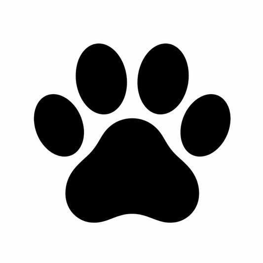 🐶 Los mejores productos para mantener a tu mascota limpia y feliz
